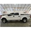 Image 23 : PARKSVILLE - 2009 FORD F150, WHITE, 203700KMS, 4WD - DB29189