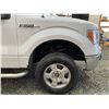 Image 25 : PARKSVILLE - 2009 FORD F150, WHITE, 203700KMS, 4WD - DB29189
