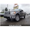 Image 1 : DUNCAN-2010 FORD F-150 196402KMS 4x4 D152184