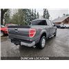 Image 9 : DUNCAN-2010 FORD F-150 196402KMS 4x4 D152184