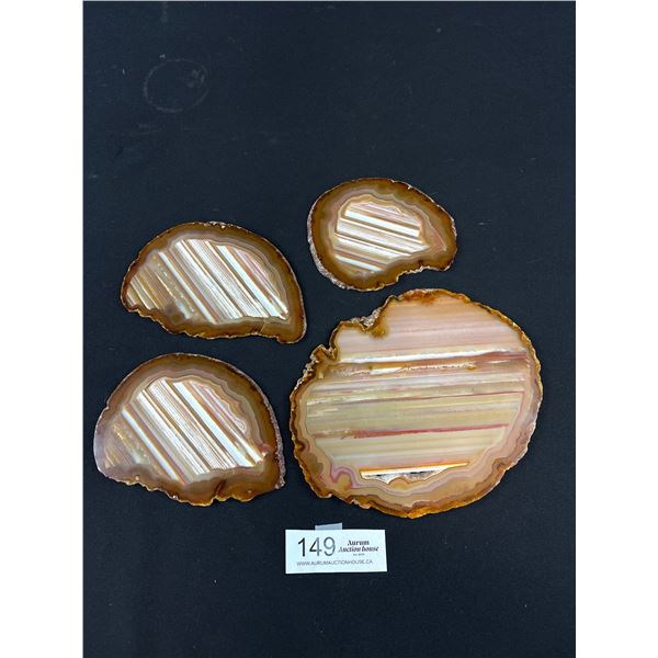 Polished Slices of Natural Banded Brown Agate Geode - Largest is 7" x 8"