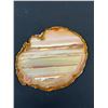Image 2 : Polished Slices of Natural Banded Brown Agate Geode - Largest is 7" x 8"