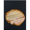Image 3 : Polished Slices of Natural Banded Brown Agate Geode - Largest is 7" x 8"