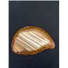 Image 8 : Polished Slices of Natural Banded Brown Agate Geode - Largest is 7" x 8"
