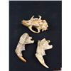 Image 5 : A Vintage Maskrat Skull and Beaver Skull Jaw Bones