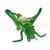 Image 1 : How the Grinch Stole Christmas - Farfingle’s Store Plush Grasshopper - H4-179