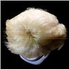 Image 5 : Jingle All the Way – Ice Princess Wig – H4-01