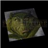 Image 7 : How the Grinch Stole Christmas – Special Screening Invitation & Presentation Folder - H4-15