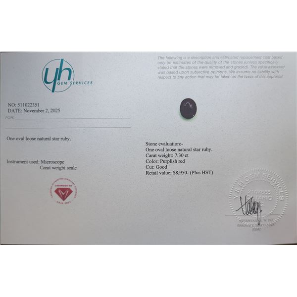 $8,950 Appraisal - 7.3 ct Cert. Untreated Star Ruby Gemstone