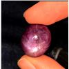 Image 2 : $8,950 Appraisal - 7.3 ct Cert. Untreated Star Ruby Gemstone