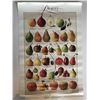 Image 1 : Lithographic Pear Poster