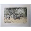 Image 1 : A Dazzle of Zebras Print