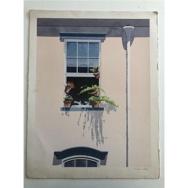 Window Plants Art Print