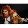 Image 1 : Van Halen David Lee Roth signed photo