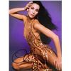 Image 1 : Cher signed photo