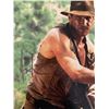 Image 1 : Indiana Jones Harrison Ford signed photo