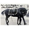Image 1 : JFK Assassination Arthur Carlson Black Jack Funeral Procession Horse signed photo