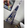 Image 1 : Colts Autographed Pennant
