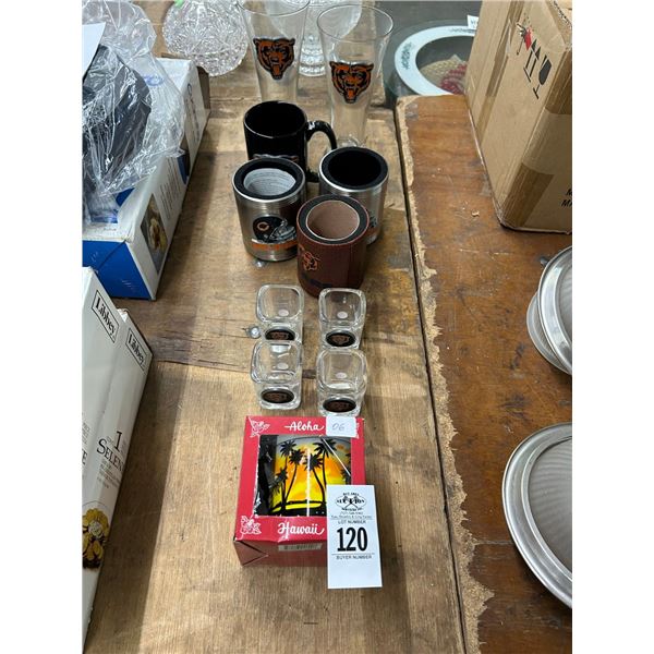 Souvenir Hawaiin Mugs, Pilsner, Shot Glasses, Koozies