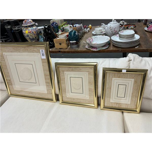 Framed Sea Shell Wall Art - Set of 3