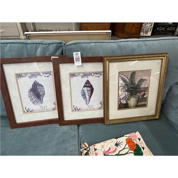 Framed Sea Shell, Palm Wall Art - 3