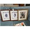 Image 1 : Framed Sea Shell, Palm Wall Art - 3