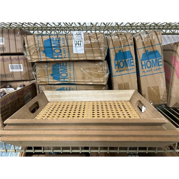 6-Case of Nesting Trays - 6 X $