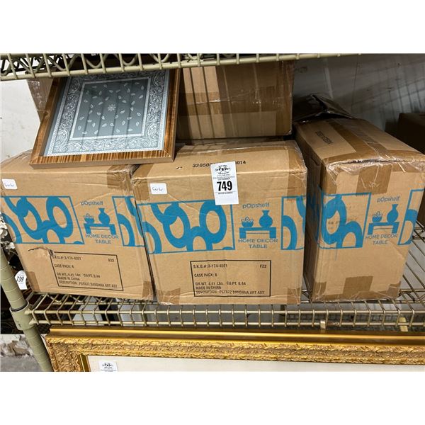 10-Framed Wall Art Bandana 6Pk - 10 X $