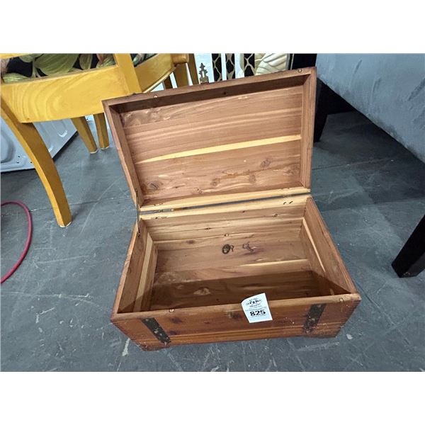 Small Cedar Trunk