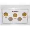 Image 1 : 2002 PLATINUM PLATED USA STATE QUARTERS BU SET X5