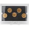 Image 2 : 2006 GOLD PLATED USA STATE QUARTERS BU SET X5