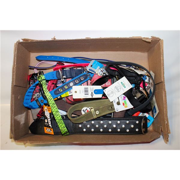 LARGE FLAT OF NEW DOG COLLARS