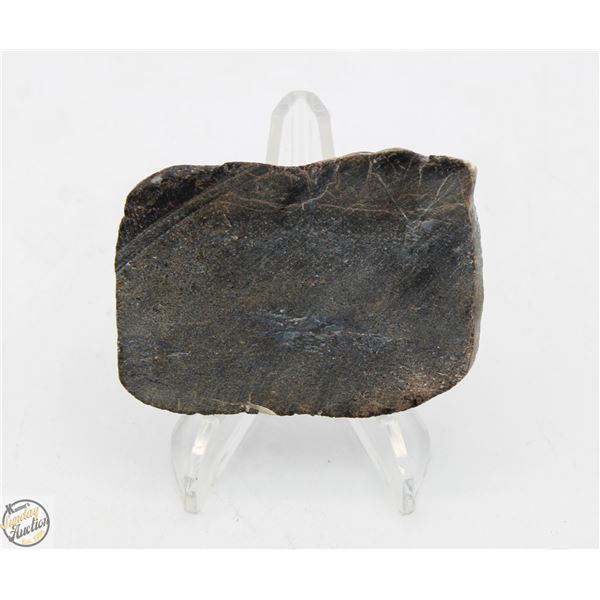 CUT MONTANA DINOSAUR GEMBONE AGATIZED FOSSIL