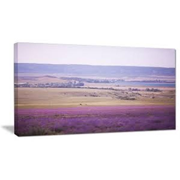 NEW DESIGNART 40-30" CALM SUNSET OVER LAVENDER
