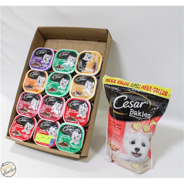 24 TRAYS CESAR ADULT SMALL BREED DOG