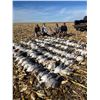 Image 4 : 4 Day/4 Night Waterfowl Hunting in North Dakota for Two Hunters