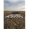 Image 5 : 4 Day/4 Night Waterfowl Hunting in North Dakota for Two Hunters