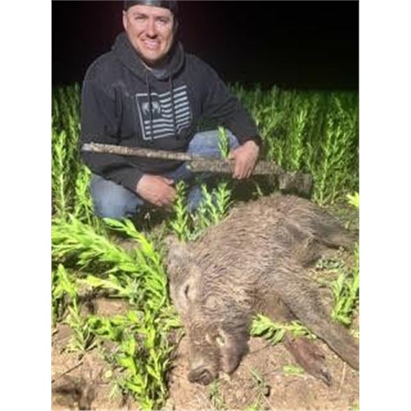 3 Day/3 Night Texas Hog Hunt for 2 Hunters
