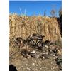 Image 3 : 4 Day/4 Night Waterfowl and Pheasant Combo Hunt in North Dakota for Two Hunters