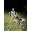 Image 2 : 5 day/5 Night Deer Rifle hunt for 1
