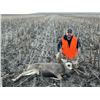 Image 3 : 5 day/5 Night Deer Rifle hunt for 1