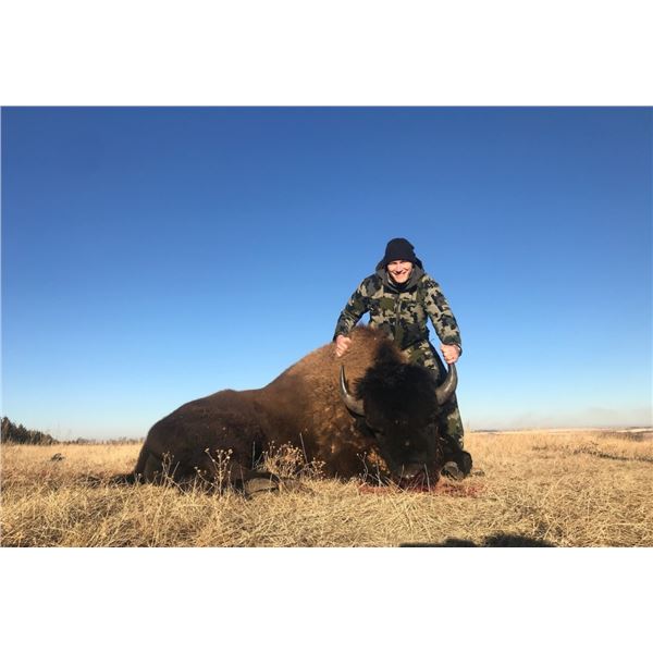 2 Day/2 Night ND Bison Trophy Hunt for 1 hunter