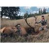 Image 2 : 4 Day/ 4 Night Roosevelt Elk Archery Hunt for 1 Hunter