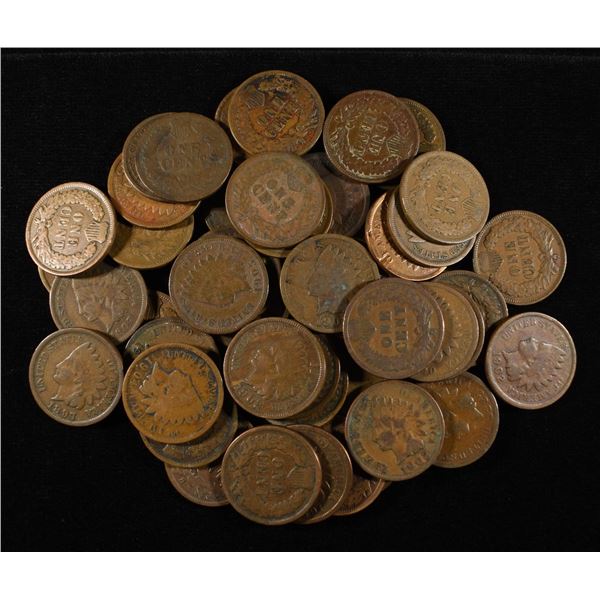 (50) INDIAN HEAD CENTS