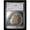 Image 1 : 1880 MORGAN DOLLAR SEGS SUPERB GEM BU