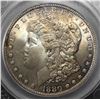 Image 2 : 1880 MORGAN DOLLAR SEGS SUPERB GEM BU