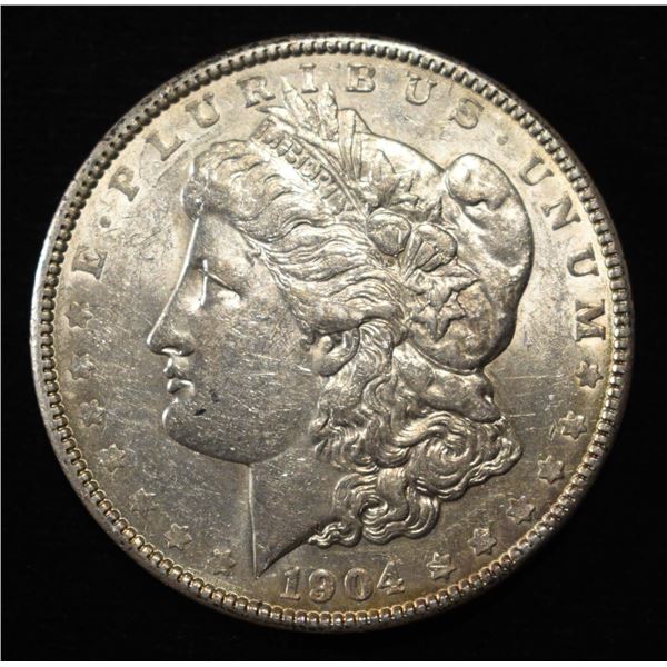 1904 MORGAN DOLLAR AU COLOR REV