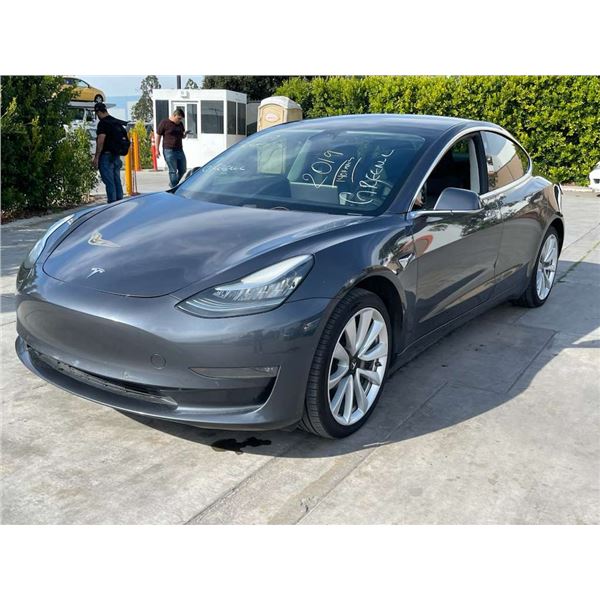 TSMR MODEL3 2019 APP DUP/T -