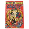 Image 1 : Karate Kid #1 (1976) – First Solo Issue from the Legion of Super-Heroes!