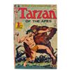 Image 1 : Tarzan of the Apes #207 (April 1972) – First DC Issue! Bronze Age Jungle Adventure
